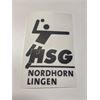 HSG Nordhorn Lingen Autoaufkleber schwarz
