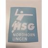 HSG Nordhorn Lingen Autoaufkleber weiss