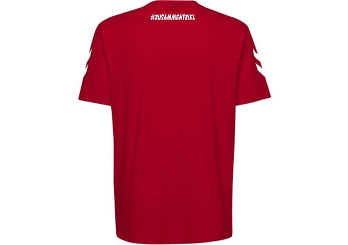 HSG Nordhorn Lingen HSG Cotton T-Shirt #zusammen1ziel rot Kinder