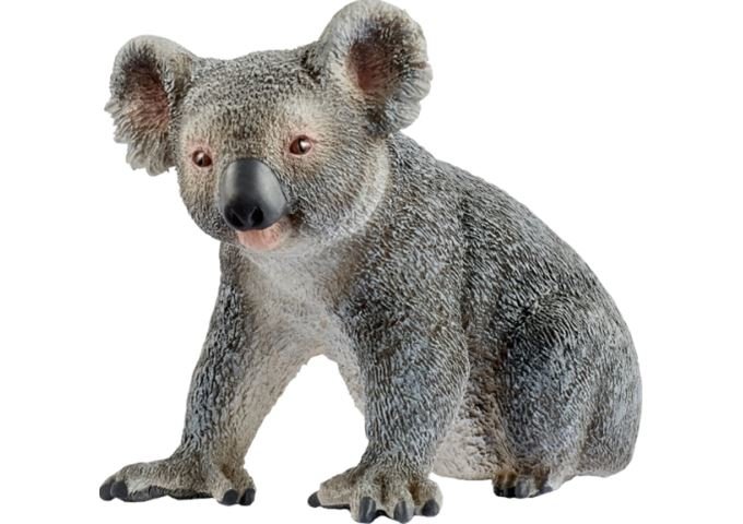 Schleich Spielzeugfigur Koalabär