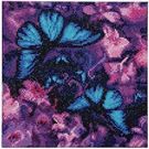  Crystal Art Leinwand Schmetterlinge 30x30 cm