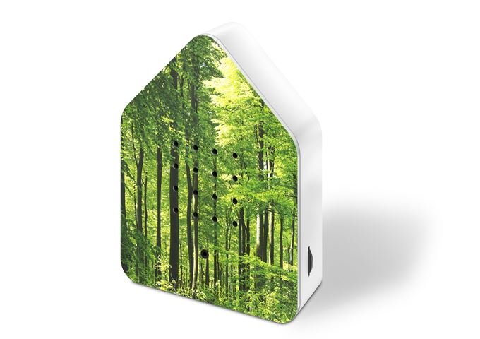Zwitscherbox UV Print, Wald