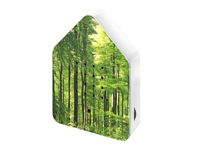 Zwitscherbox UV Print, Wald