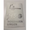 HSG Nordhorn Lingen Autoaufkleber silber