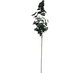 ASA deko Eukalyptuszweig, grün