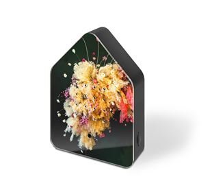 Zwitscherbox Zwitscherbox Poppykalas Floral-Sky