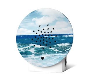Zwitscherbox Oceanbox Blue Atlantic Limited Edition