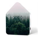 Zwitscherbox Zwitschebox Morning Forest Limited Edition